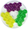 gan-ges-v4.png